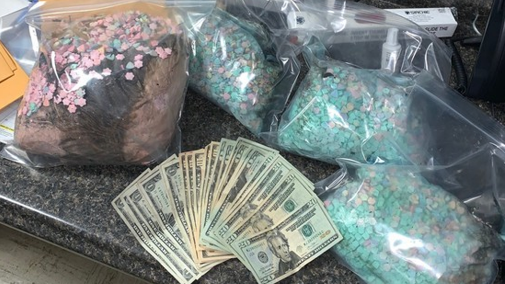 1.2 Million Drug Bust