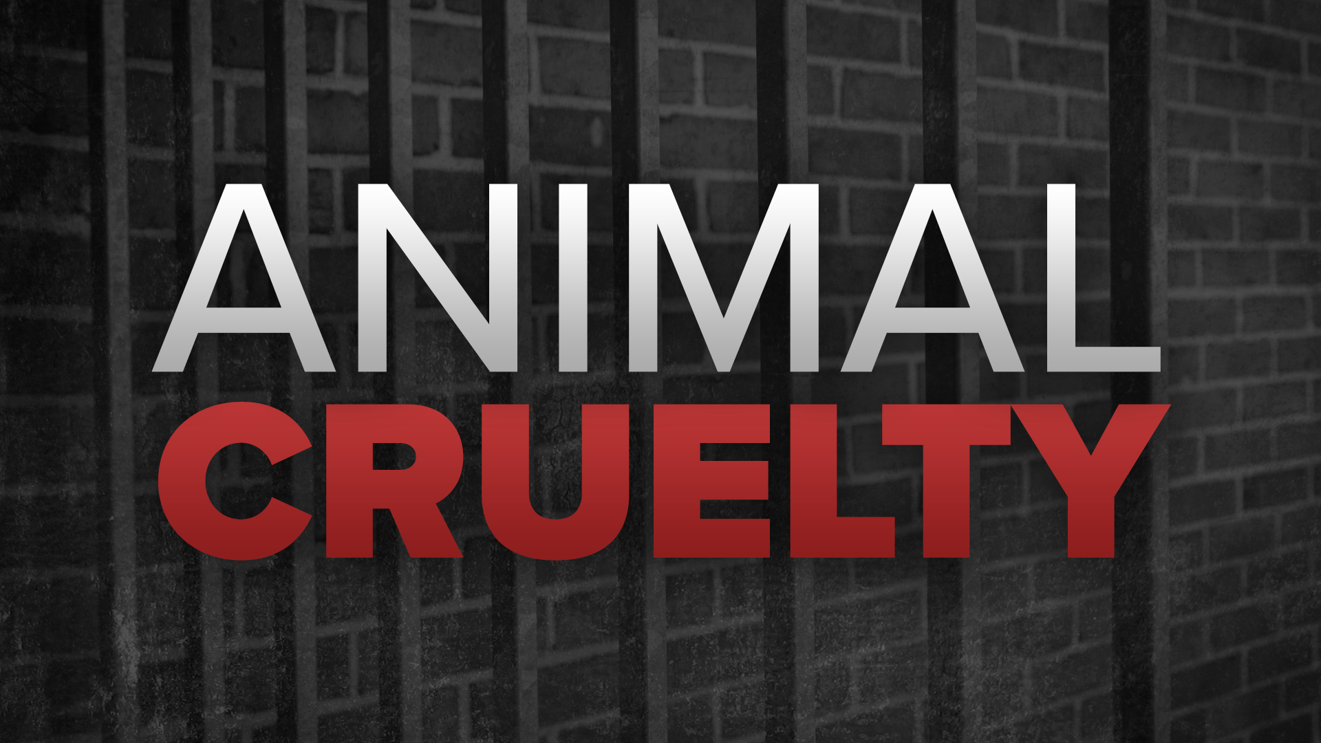 woman-charged-with-44-counts-of-animal-cruelty-wnky-news-40-television