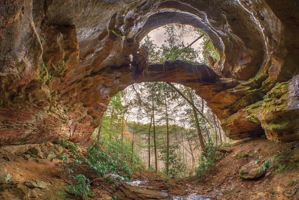Red River Gorge Trail Now Set To Reopen On May 22 WNKY News 40 