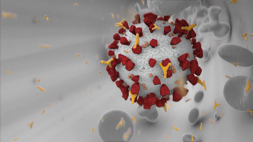 Antibodies Lw