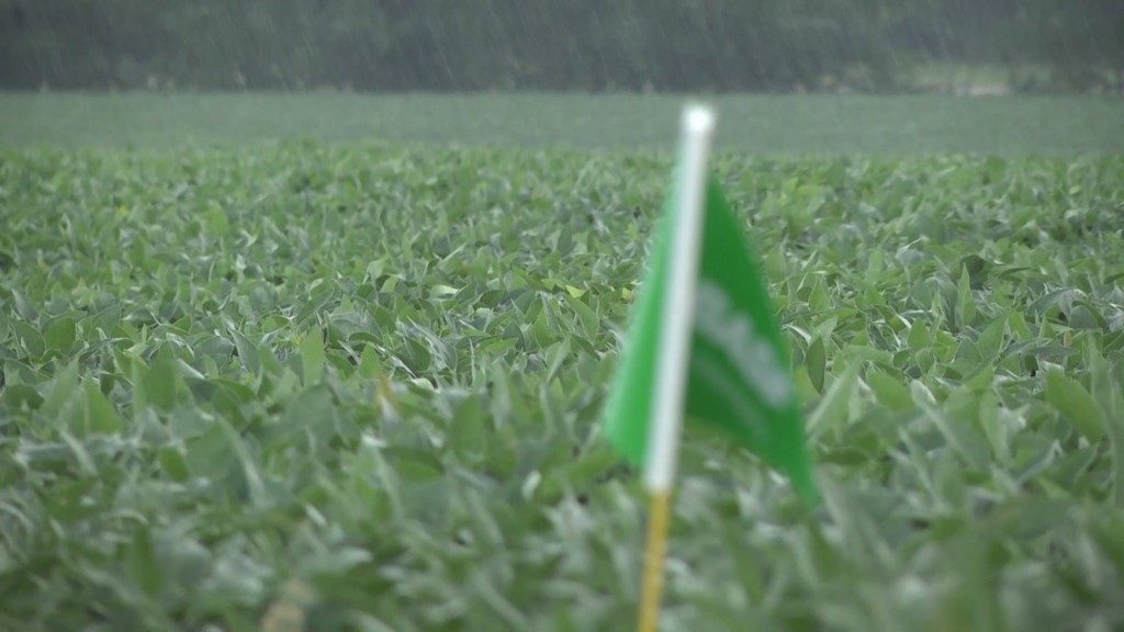 Cold Weather Farming Pic0
