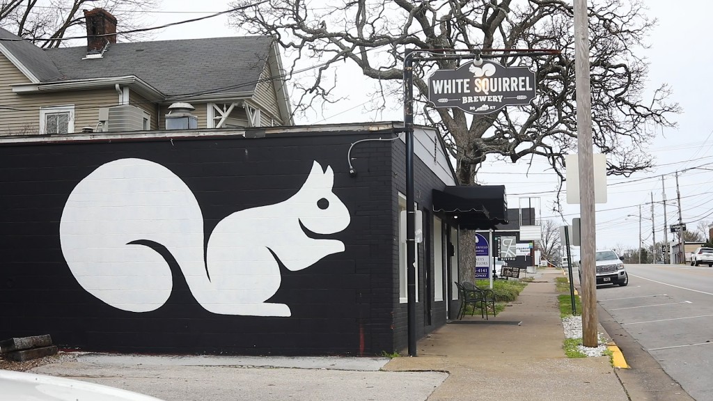 White Squirel