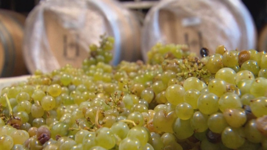 Ripe For Business: Napa Valley Prepares To Reopen