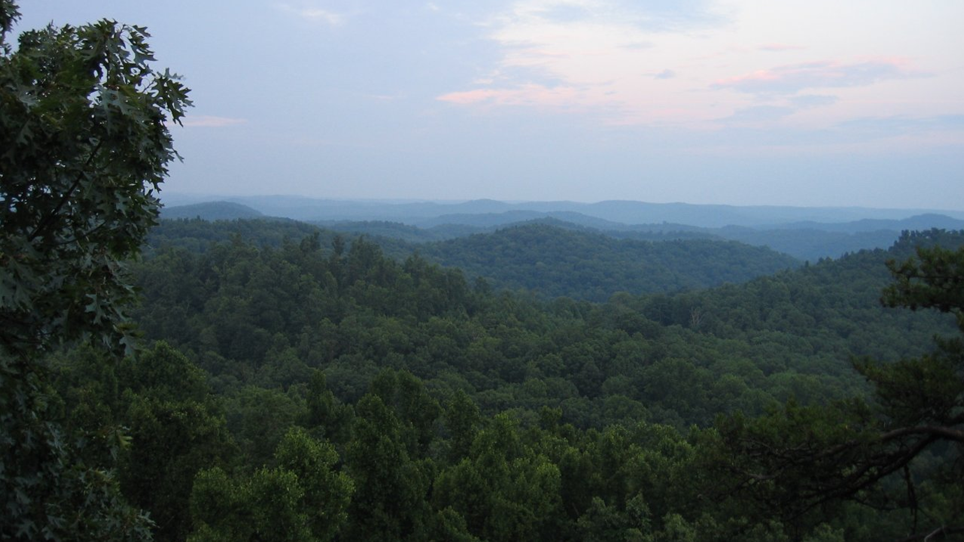 Developed campgrounds reopen in daniel boone national forest wnky