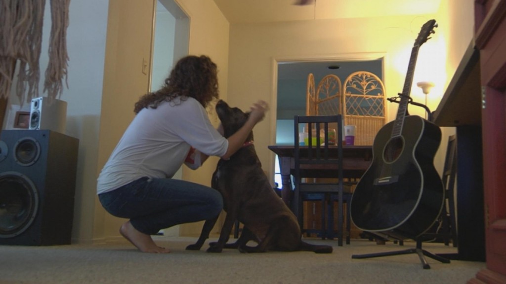 Nc Takeyourdogtoworkday0626 1920x1080