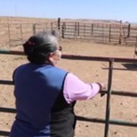 Navajo Covid