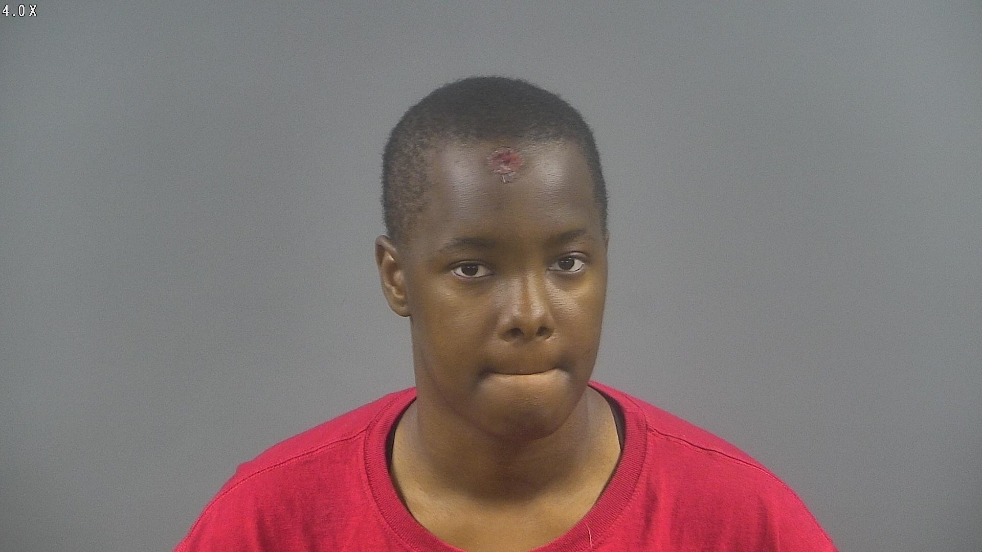 Bowling Green woman accused of burglarizing residence - WNKY News 40 ...