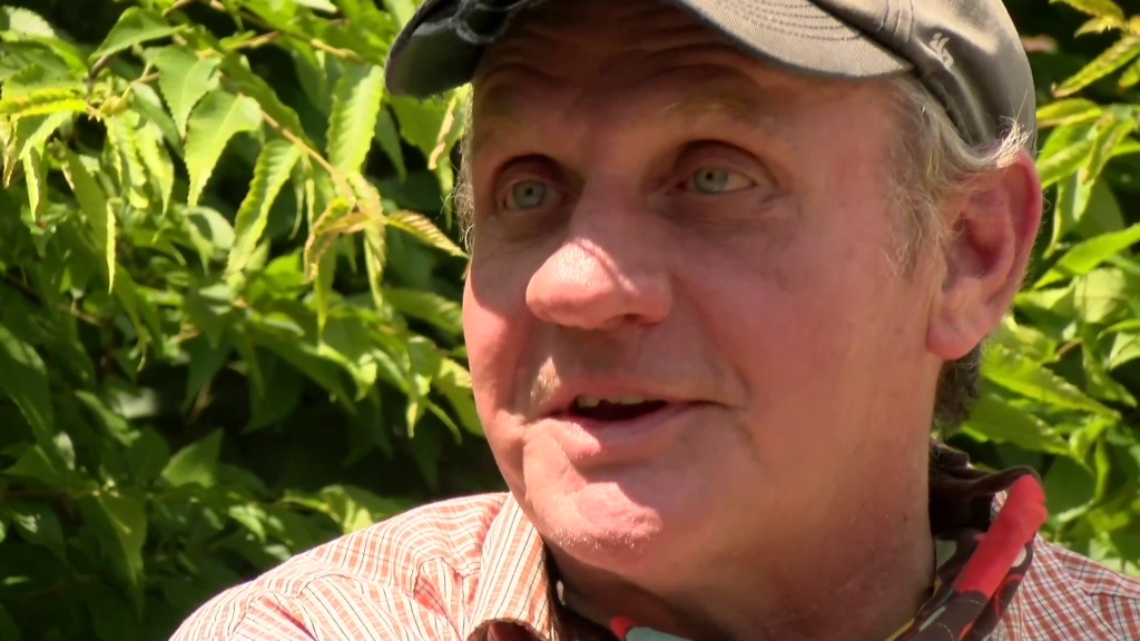 Vlcsnap 2020 06 03 17h46m18s484