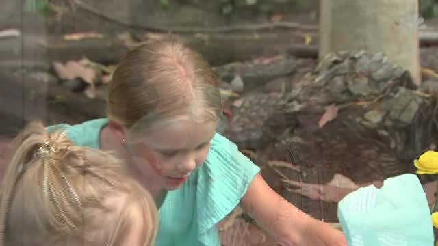 Covid 19: The Back To School Debate