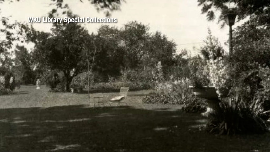 Tbt Walnut Lawn