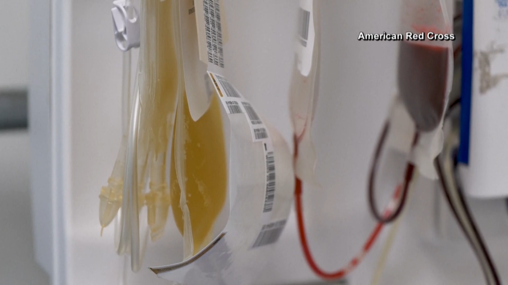 Plasma