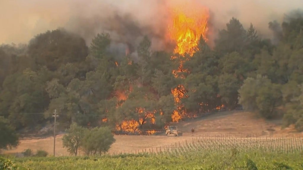 "glass" Fire Forces Napa Valley Evacuations