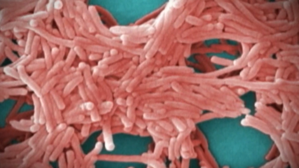 Disease