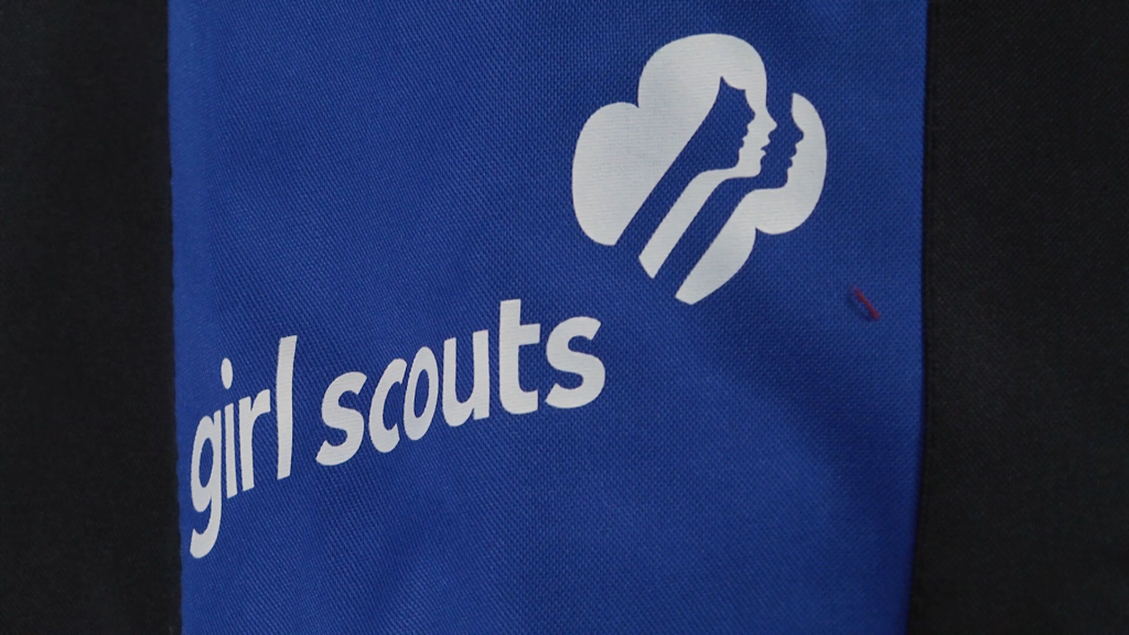 Scouts