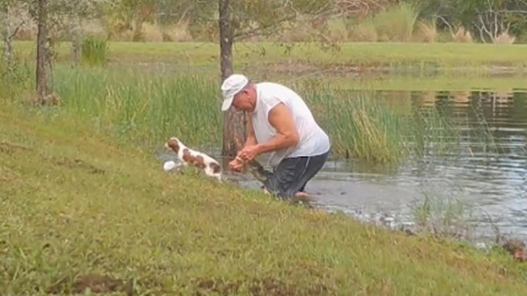 Snatched From The Jaws Of Death: Florida Man Fights Alligator To Save Puppy
