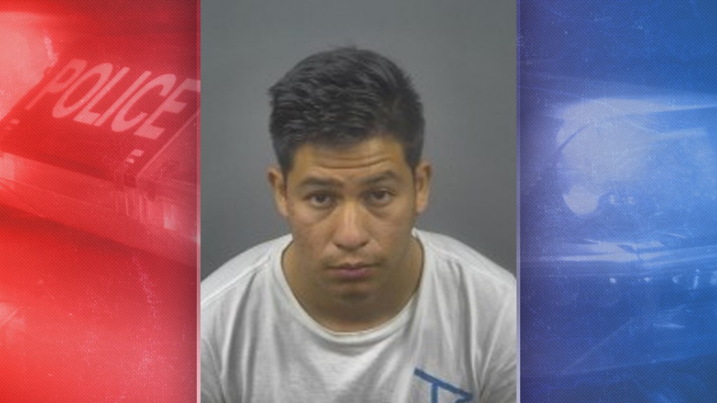 Salas Mug