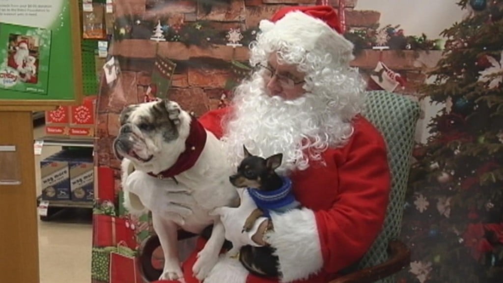 Pampered Pets: Americans Spend Big On Furry Friends