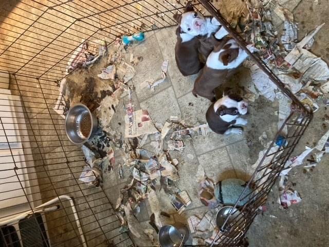 69f51c7f 172f 4b63 8ad6 8519330bad74