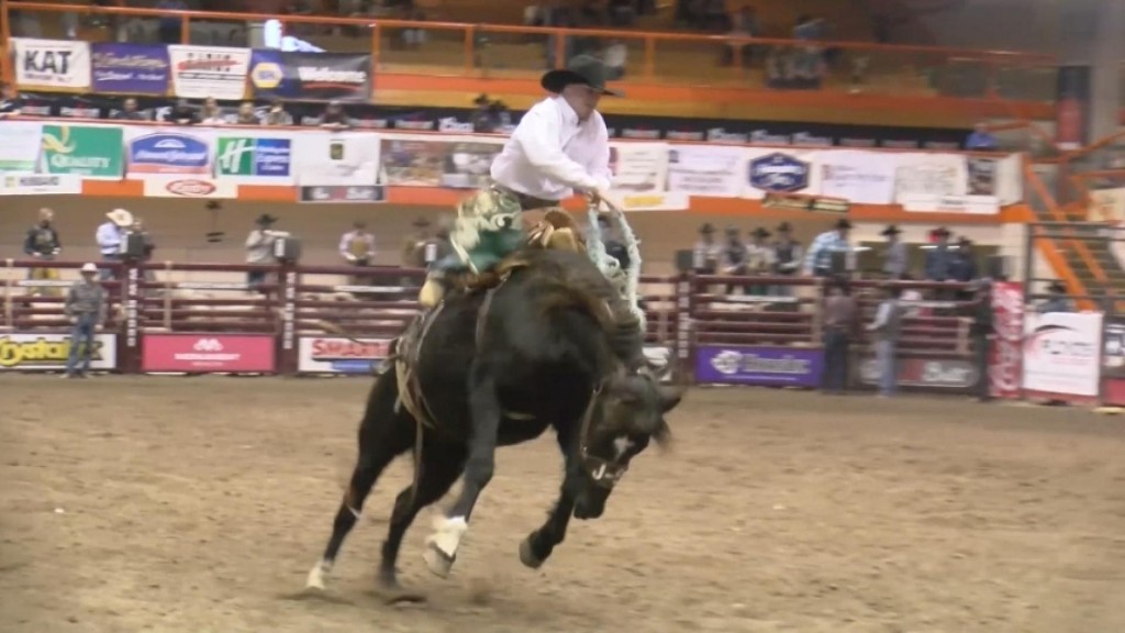 Rodeo