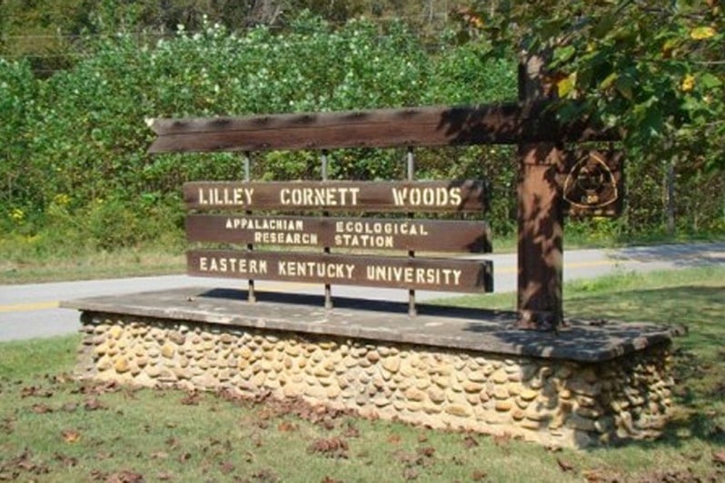 Lilly Cornett Woods