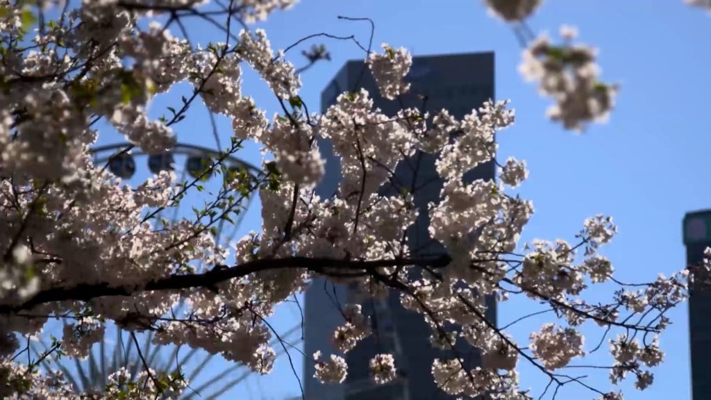 Allergy