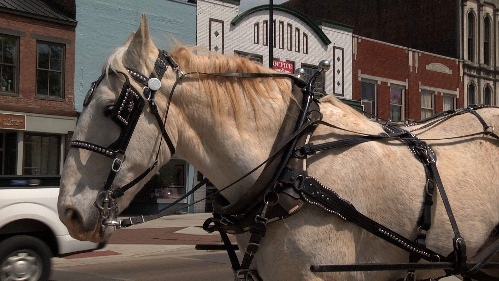 Rockn B Horse And Carriage Ride To Move Location From Downtown - WNKY ...