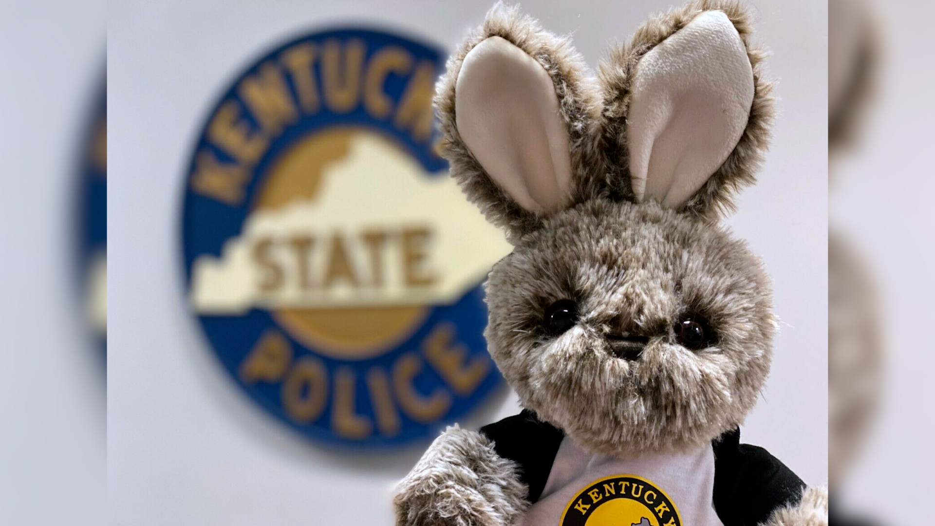 Kentucky State Police have a stuffed bunny for sale with bids as high as $590 - Vimarsana News