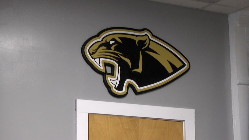 Panther Pic0
