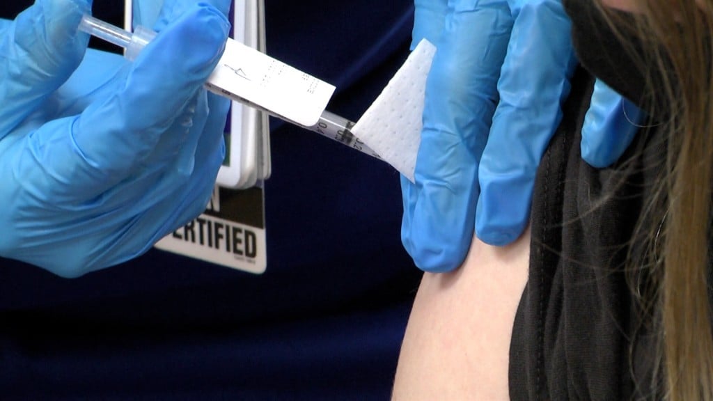 Bgisd Vaccine Pic0