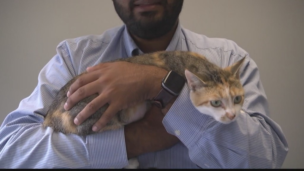 Pet Of The Day – Missy