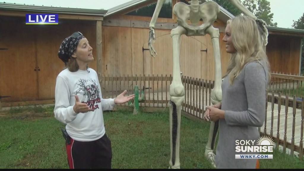 Sunrise Spotlight Skeleton's Lair