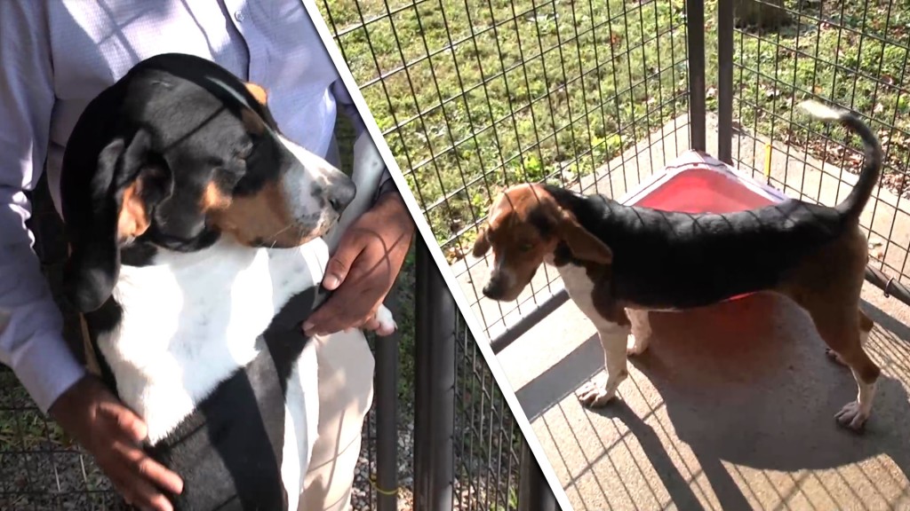 Bamm Bamm And Pebbles