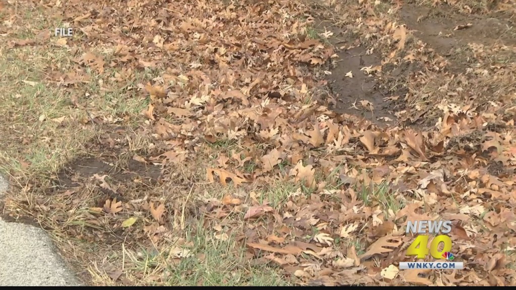 The Change Of Season Means Changing Road Hazards