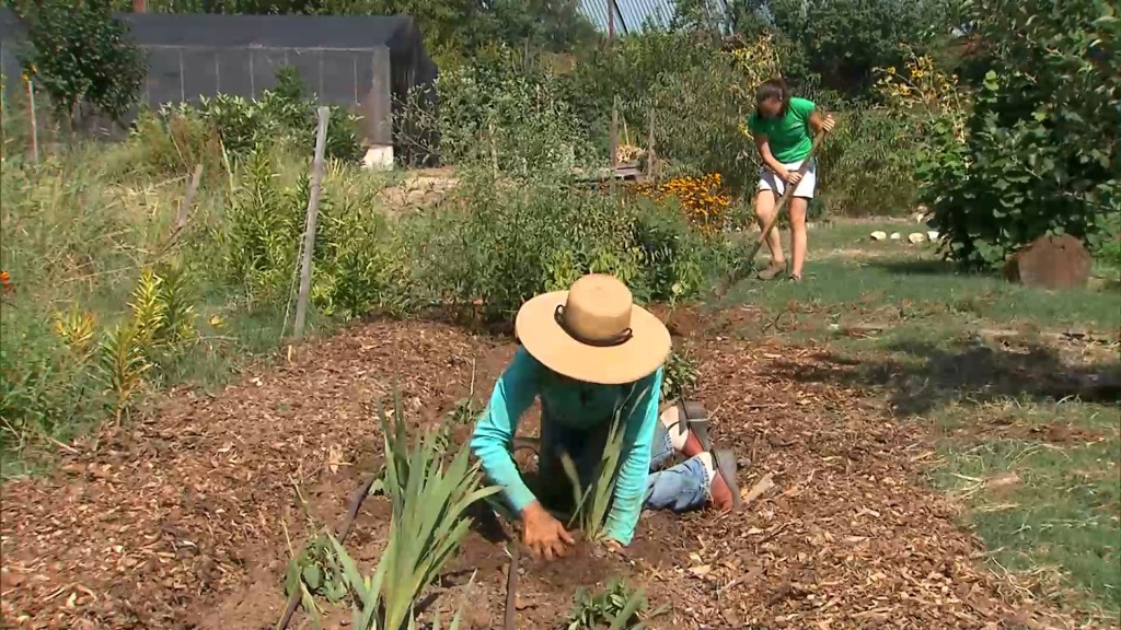 Gardening