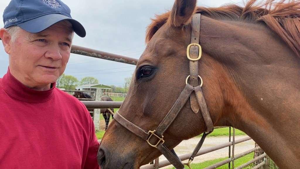 42022 Kentucky Derby Hats Epicenter Race Horses Westwind Farm Prim And Brim00 01 02 19still002