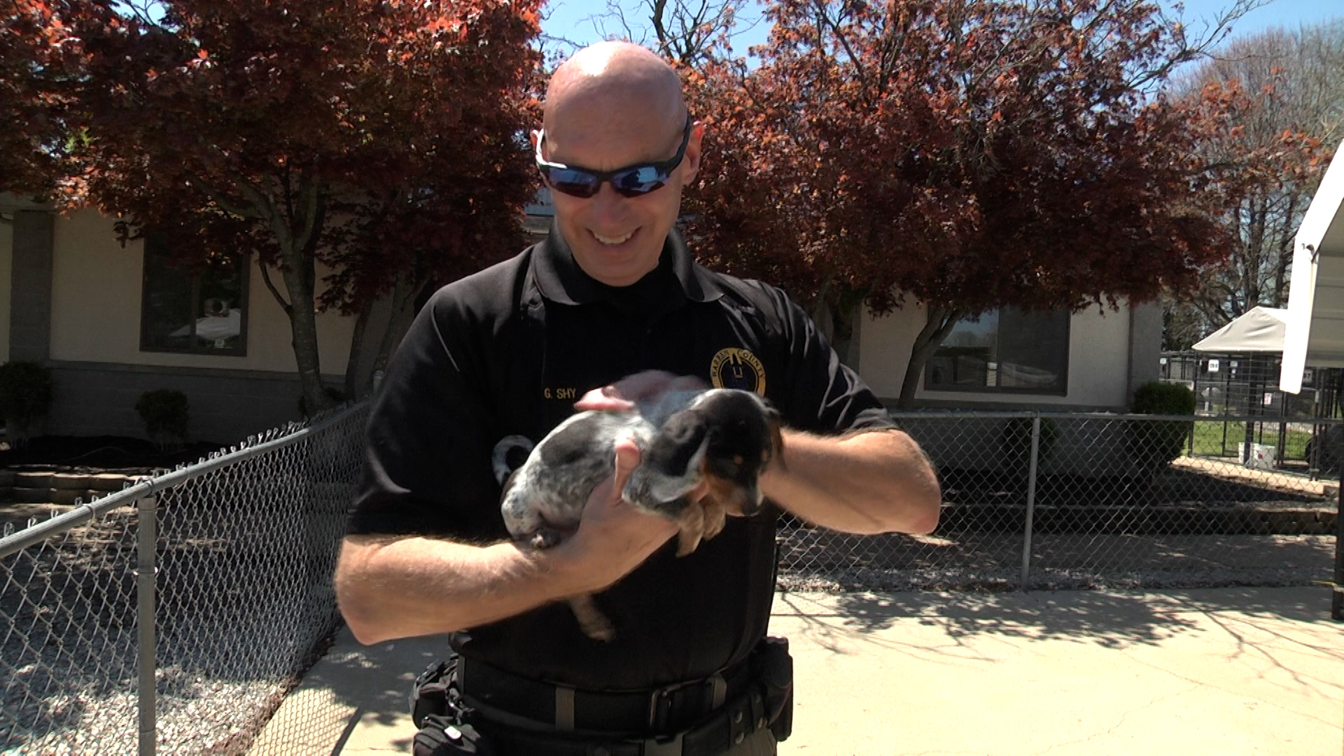 Animal Control Officer Appreciation Week - WNKY News 40 Television