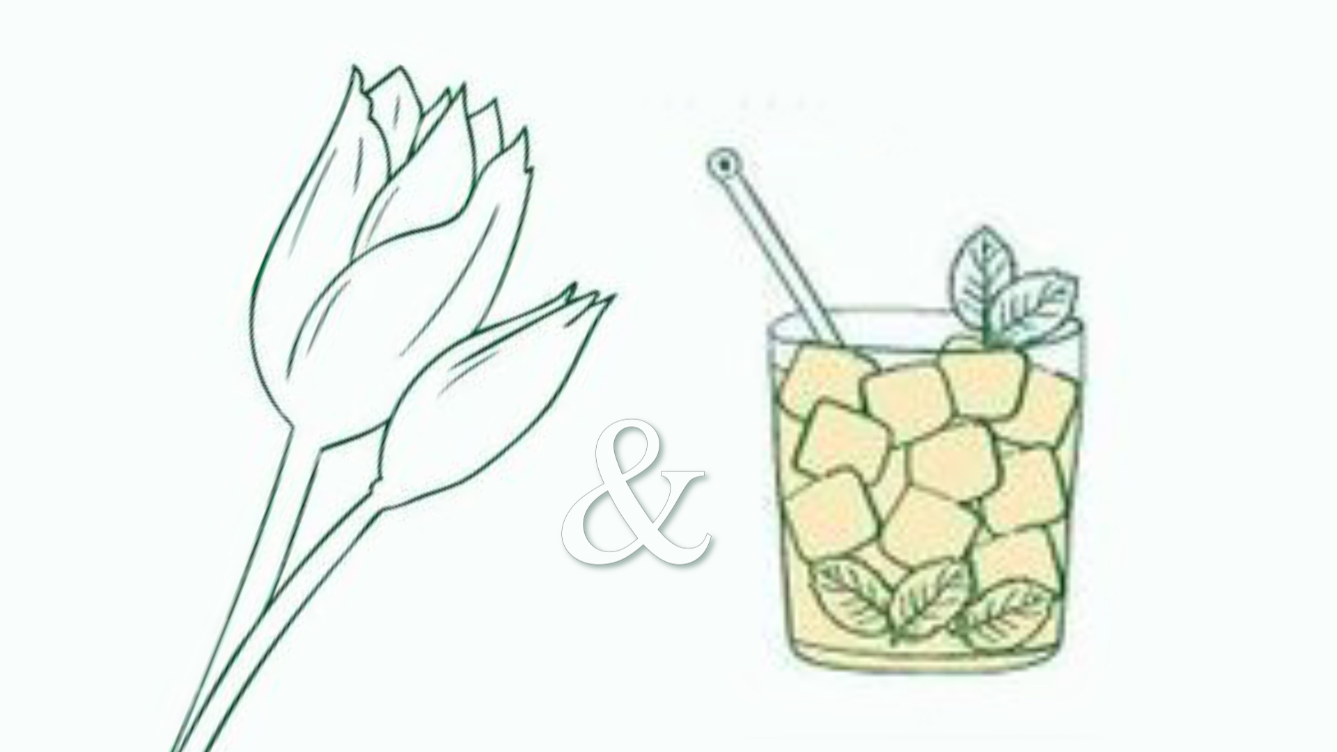 What's Happening SoKY Tulips & Juleps WNKY News 40 Television