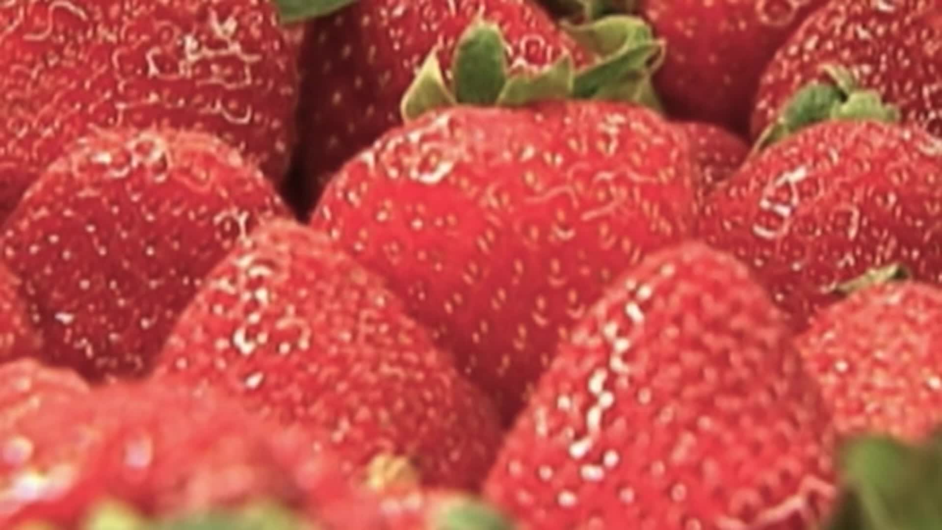 FDA investigating organic strawberries as cause in hepatitis A outbreak WNKY News 40 Television