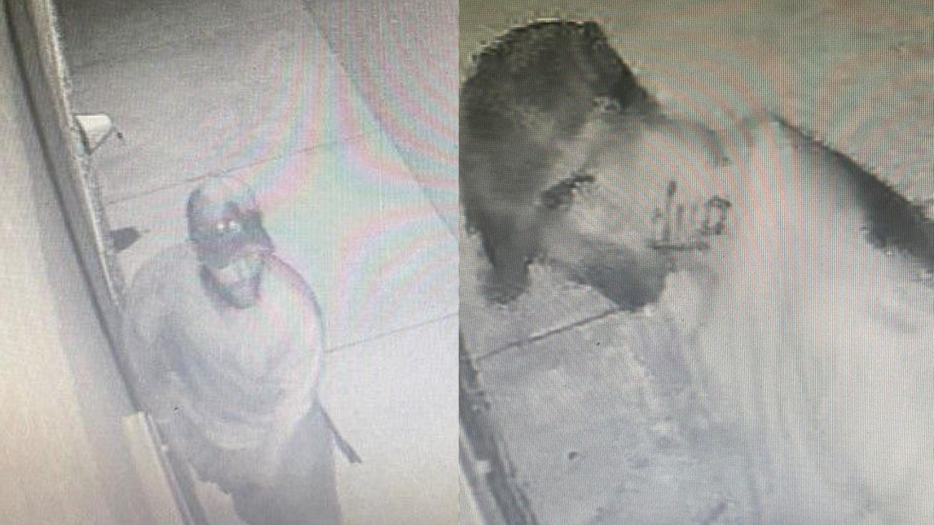 WCSO searching for suspects in theft at Basil Griffin Park WNKY News