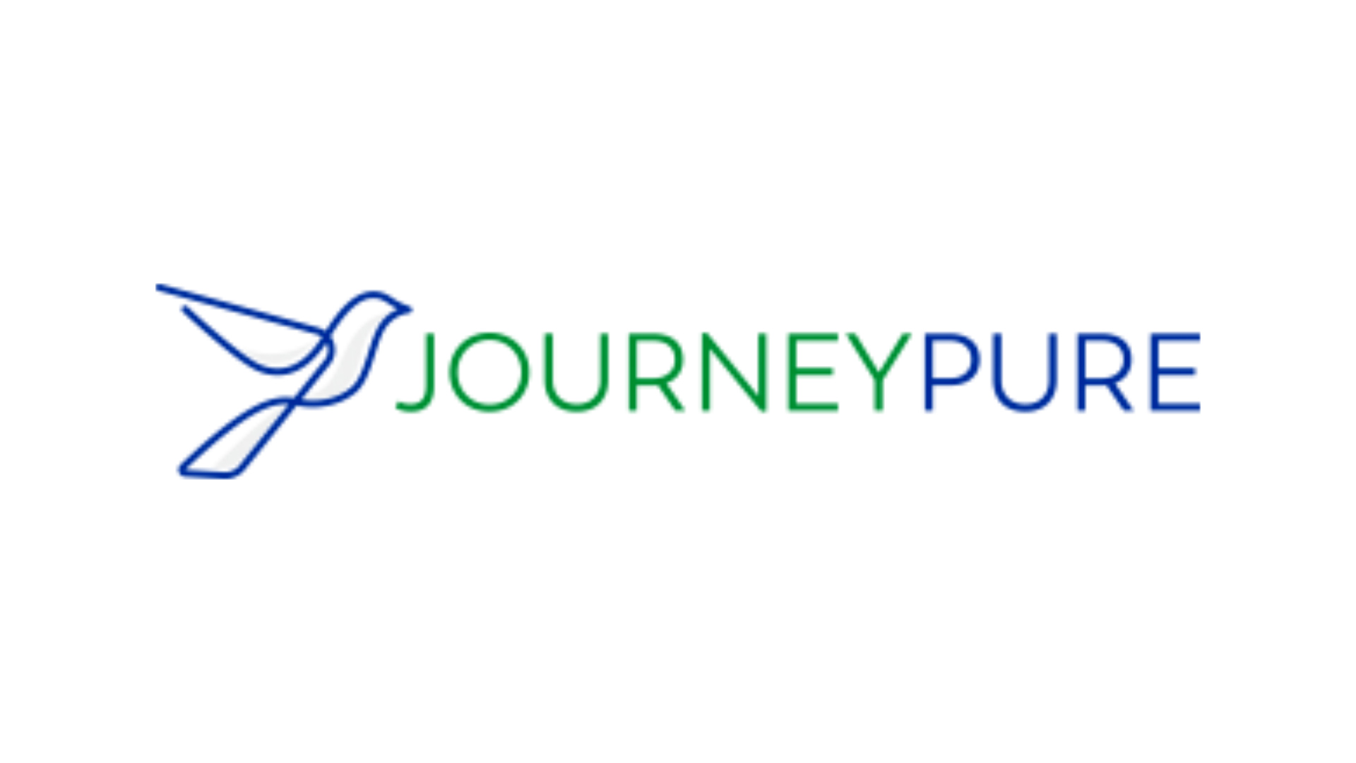 journey pure logo