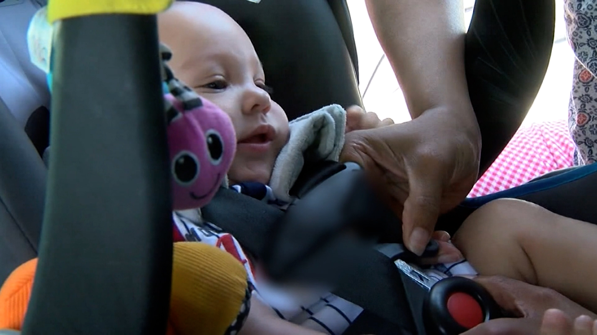 Health News The Dangers Of Counterfeit Car Seats Wnky News 40 Television