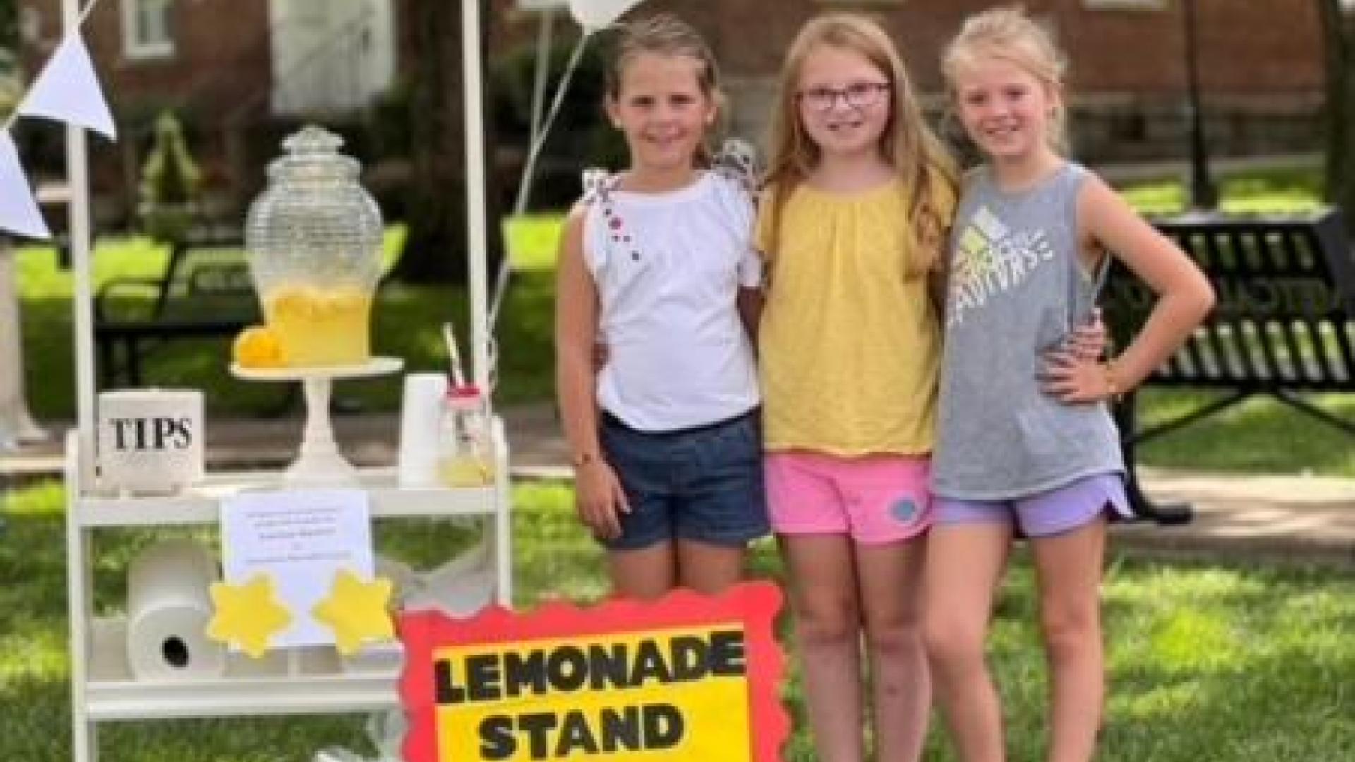 Edmonton students to hold lemonade stand fundraiser, toy drive for
