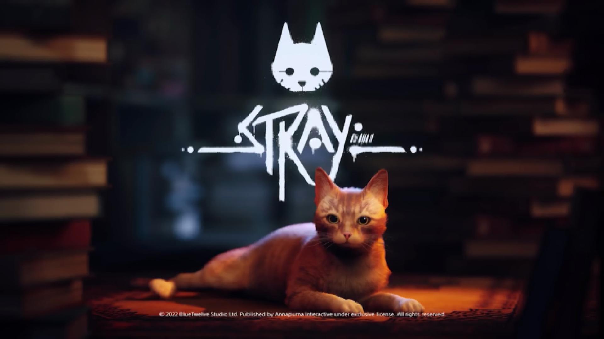 Stray cat video game brings some benefits to real cats