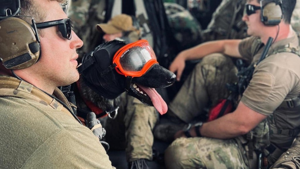 kentucky national guard rescue dog