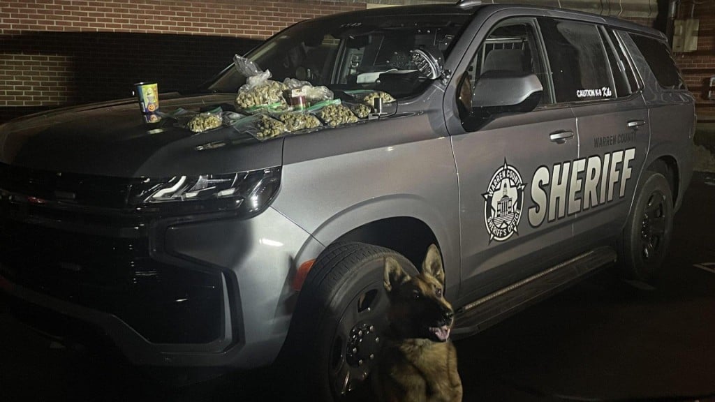 warren county sheriff's officeDrug Dog Arrest