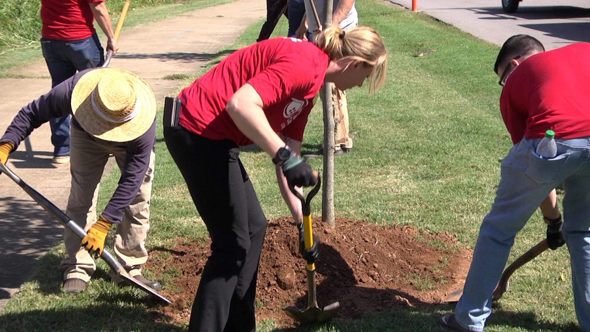 25 trees planted on Creason Greenway to replace tornado damaged trees