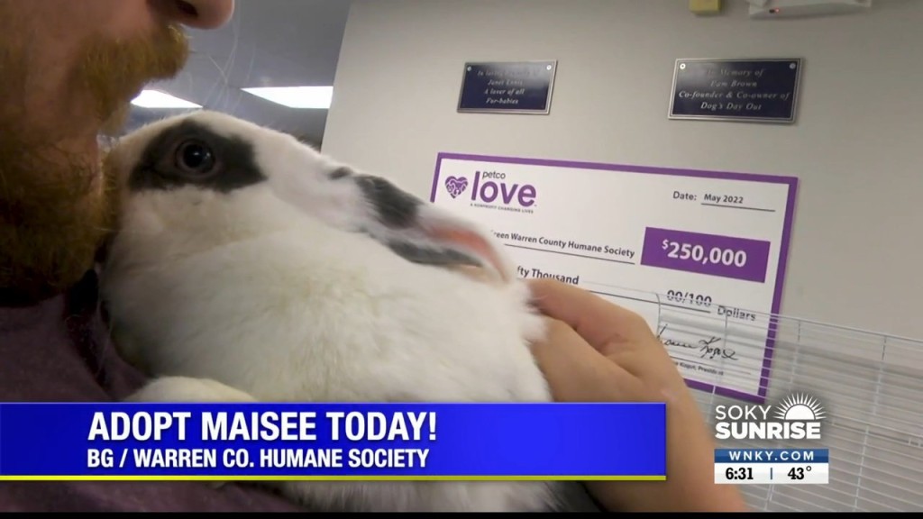 Pet Of The Day Soky Sunrise 100422