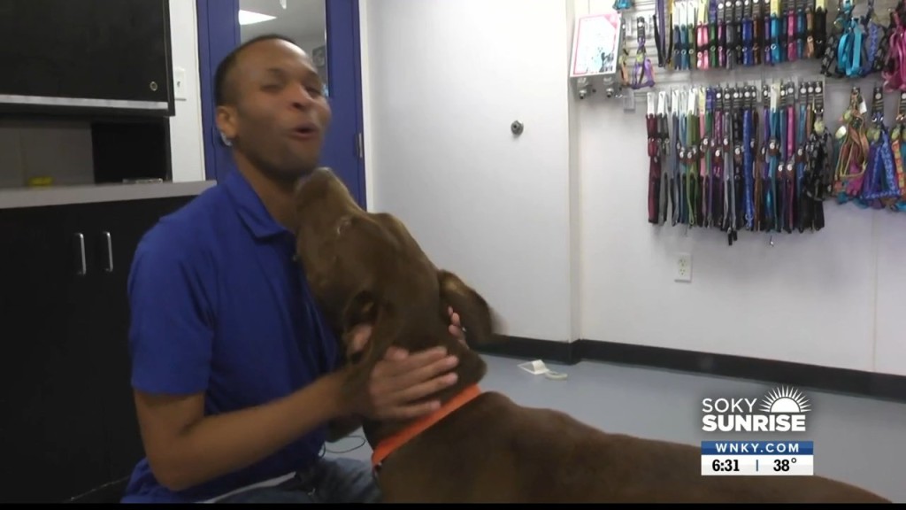 Pet Of The Day 101022 Sunrise