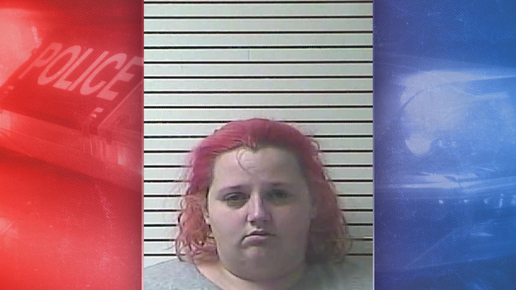Brittany Jameson Arrest Hardin County Promoting A Minor