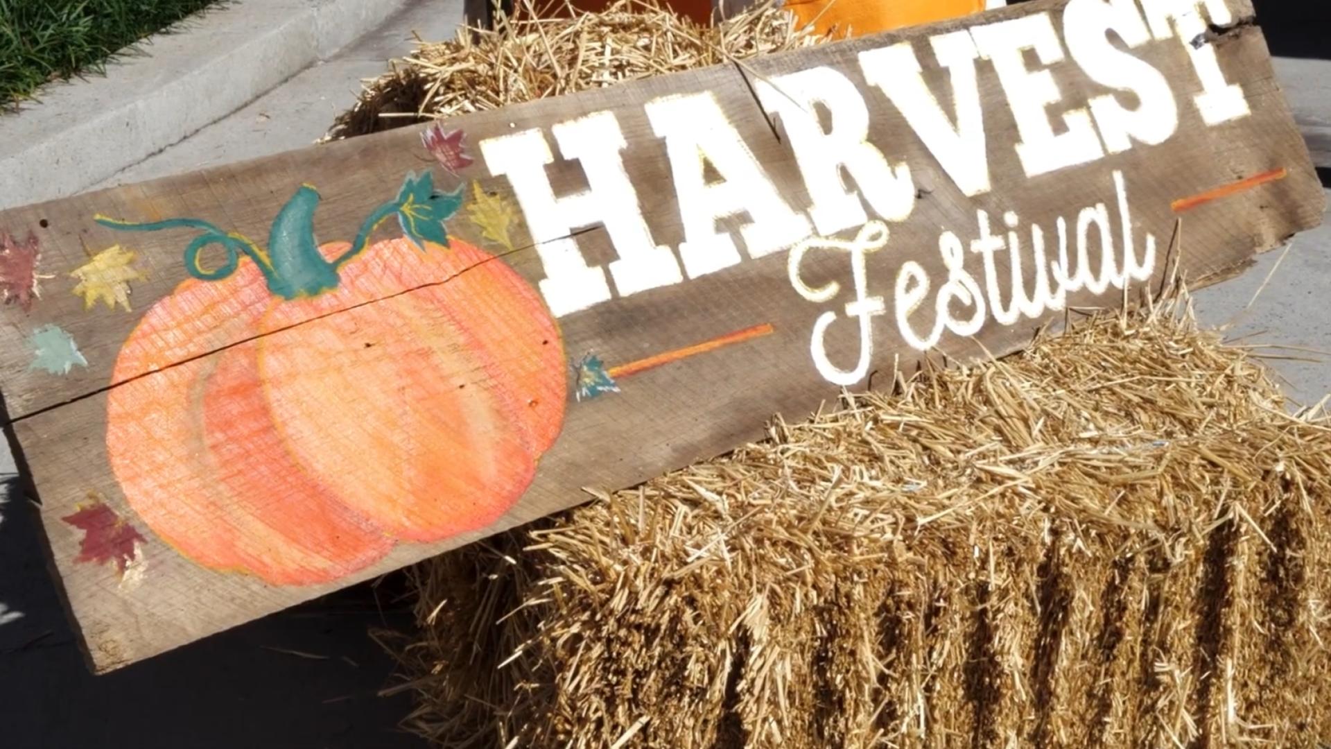 Bowling Green to celebrate Harvest Festival this weekend WNKY News 40